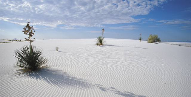 Whites Sands National Monument